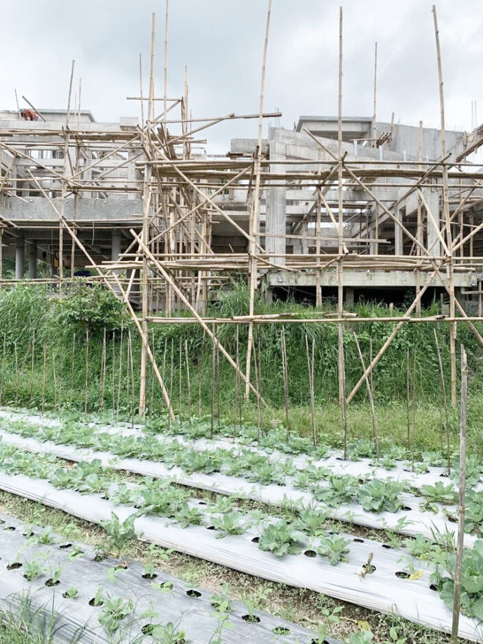 Construction Progress: Villa Bedugul